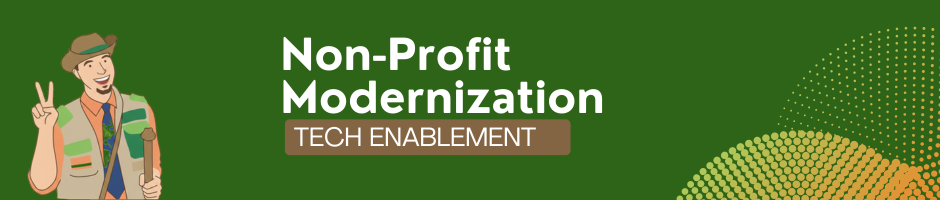 Non-Profit Digital Scaling Project